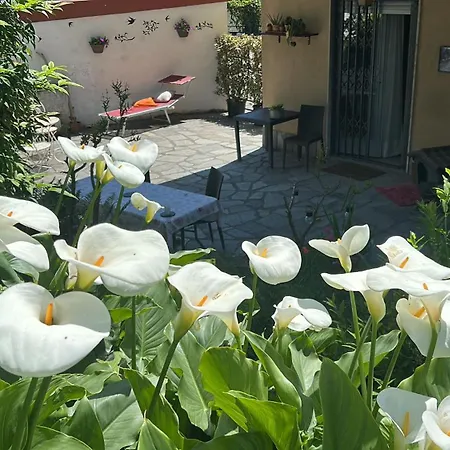 Homestay Women Only-brezza Di Collina Pino Torinese